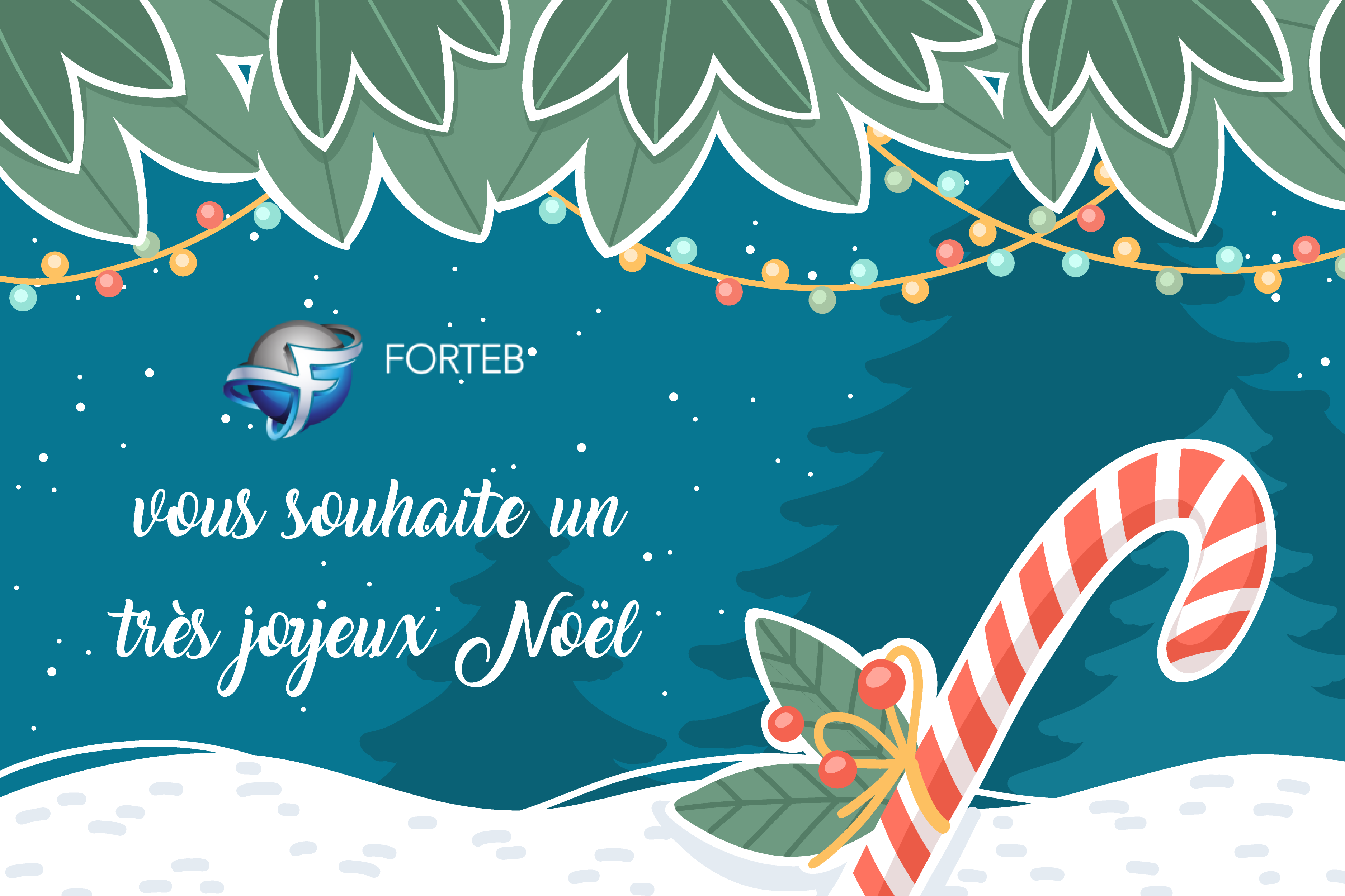 🎄 Joyeux Noël de la part de toute l’équipe Forteb !